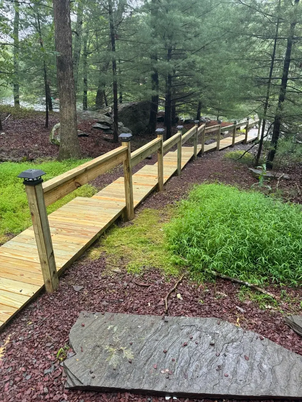 Woodland Walkway to Lake - Slide 3